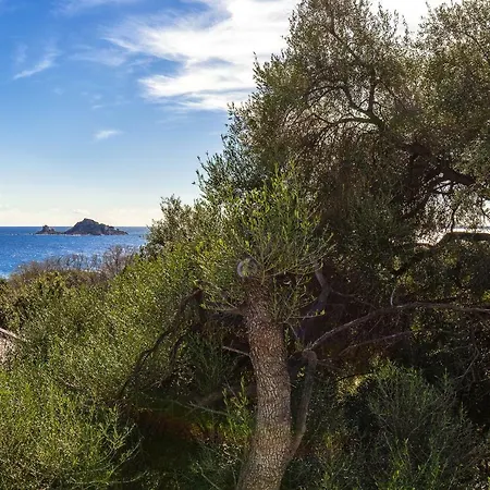 Appartement Casa Olivastro Vista Mare Santa Maria Navarrese