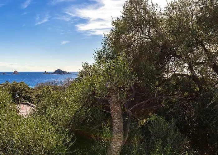 Daire Casa Olivastro Vista Mare Santa Maria Navarrese